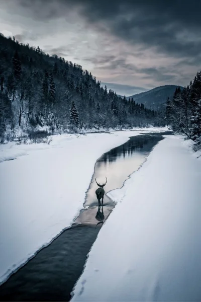 Lunaotic - Śnieżek (｡◕‿‿◕｡)
#tapetyluny #earthporn #fotografia