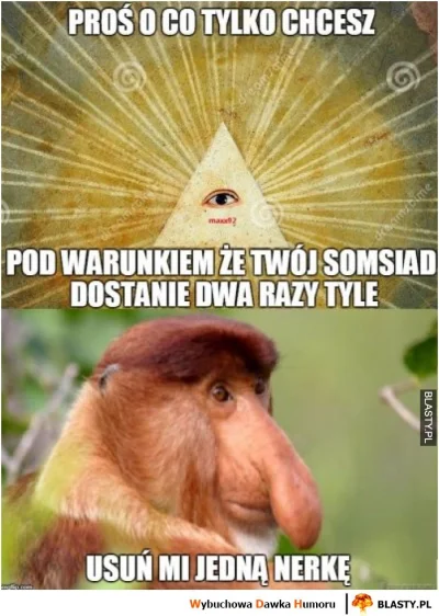 gumol - #heheszki #humorobrazkowy #nosacz #nosaczsundajski #polak