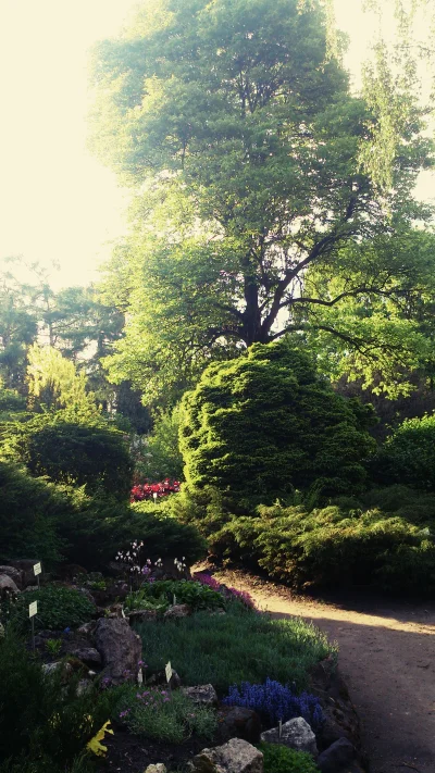Seiki - No i wybrałam się wczoraj do ogrodu botanicznego. O tej porze roku jest przep...