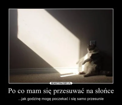 ankalara - Z taką tuszą to też by mi się nie chciało ( ͡° ʖ̯ ͡°)
#smiesznykotek #kot...