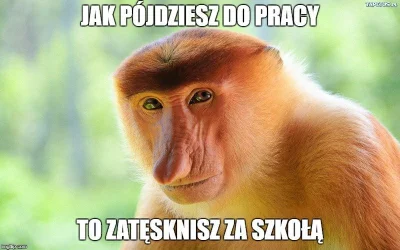 Tommy__ - Z okazji powrotu do szkoły przypominam xD #polak #heheszki #szkola #humorob...