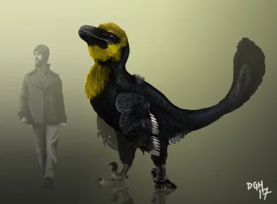 Tiszka - Utahraptor ostrommaysorum - mój drugi ulubiony raptor (dokładnie dromeozaur)...