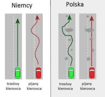 fiziaa - Różnica między Polską a Niemcami. :) #humor #heheszki #humobrazkowy #samocho...