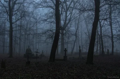 nightmeen - Niedawno odwiedziłem cmentarz garnizonowy w Twierdzy Modlin, ta jego star...