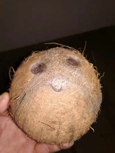 wytrzzeszcz - Znalazłem kokos co robić 
#pytanie