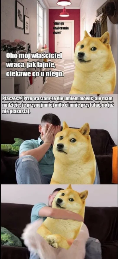 Jeloops - ;(((((
#depresja #smuteczek #pies #piesel #zwierzaczki