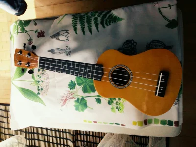 misziro - łączę się z resztą ukulele plejerów 

#pokazinstrument #ukulele