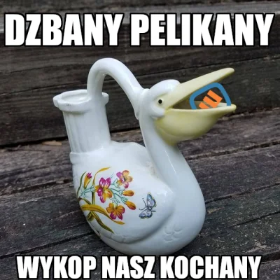 VCO1 - Przecież to niezależna, pelikany xD