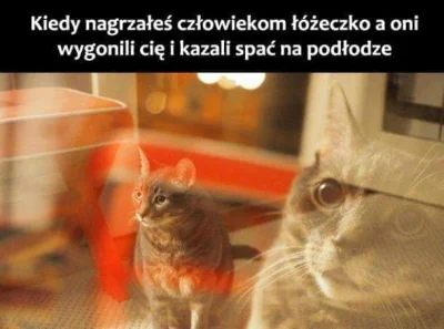 M4lutki - @Persymonka jasne, że opowiem ( ͡° ͜ʖ ͡°)

Na początek mała ciekawostka: ...