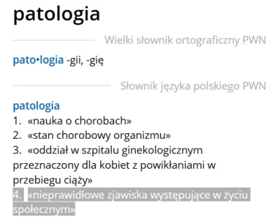 GlebakurfaRutkowski_Patrol - > Może skoro już rzucasz definicje ot przeczytaj sobie d...