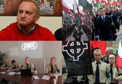 krystynaswinia - Polscy "patrioci" mocno zalatuje nazizmem

#polska #polityka #beka...