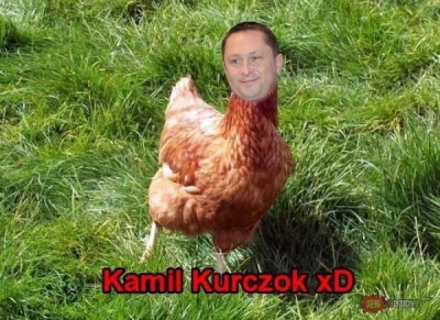 przemho - #heheszki #kamildurczok #humorobrazkowy