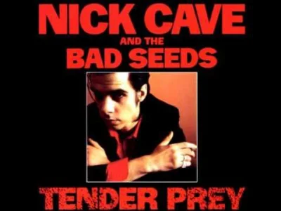 pekas - #nickcave #nickcaveandthebadseeds #muzyka #alternativerock #rock 
Nick Cave ...