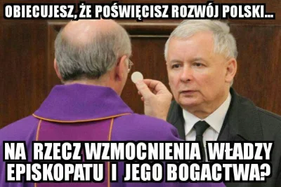 falszywyprostypasek - Polska wstała z kolan, lewaki!