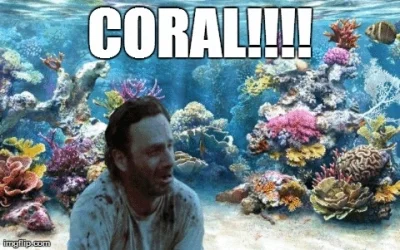 Lookazz - #thewalkingdead #coral #heheszki



SPOILER
SPOILER
