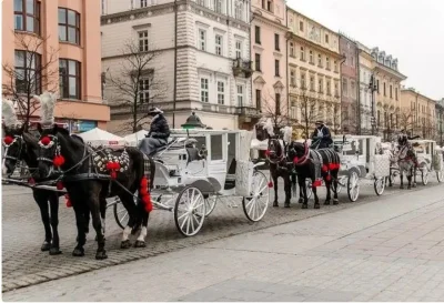 ambas - Konie na Krakowskim rynku - szkalujesz - plusujesz. 

Śmierdza, walą kupy a w...