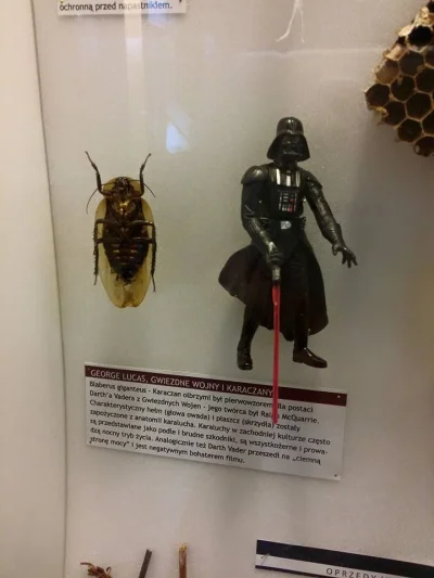 zombieblues - Kumpel trafił na taką oto ciekawostkę w Muzeum Motyli we Władysławowie:...