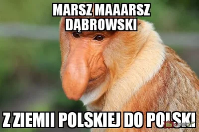 enforcer - #heheszki #polak