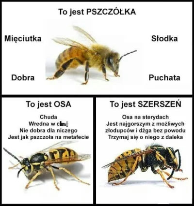 WypadlemZKajaka