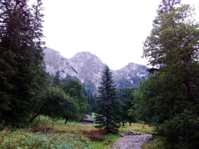 wielq - Pogoda nawet ok, tylko troszki kropi.
#gory #zakopana #tatry