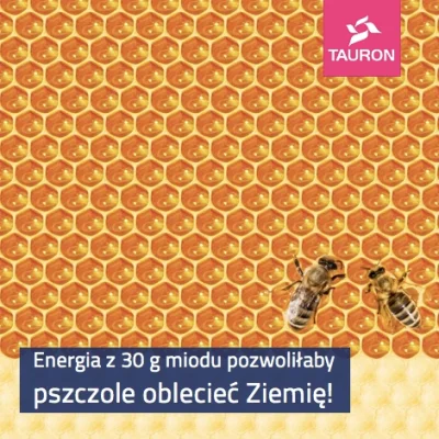 pszczelarz - #ciekawostki #mirkopszczelarz