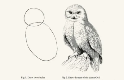bezczelnie - Poradnik: jak narysować sowę?