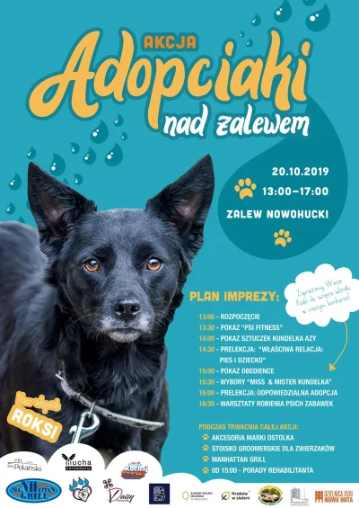 DobryWykopek - Akcja adopcyjna zwierząt - zapraszam na jutrzejsze wydarzenie w Krakow...