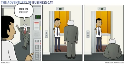 M....._ - #businesscat #koty #heheszki