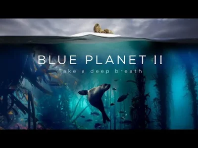 StonedApe - Doświadczenie mistyczne po obejrzeniu tego trailera. 

Blue Planet II :...