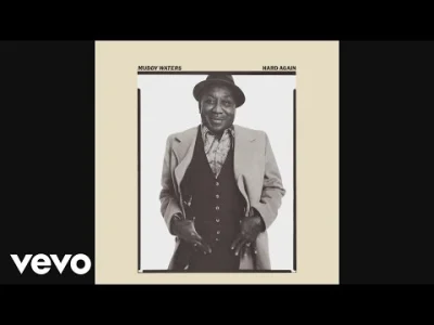 corvacs - 2/50 

Muddy Waters

Tym razem pokrótce przedstawię historię człowieka,...