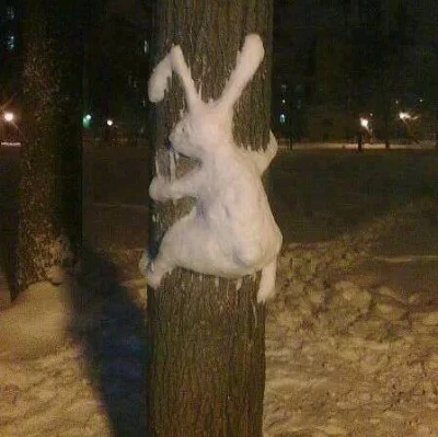 9.....7 - ten królik zamarzł wspinając się na drzewo ( ͡° ͜ʖ ͡°)
#gownowpis ##!$%@?