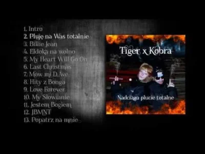 rybak66zuo - No jak tam, "płyta" przesłuchana?

#kobra #tiger #bonzo