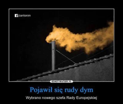 polwes - #polityka #niemcy #europa #4konserwy