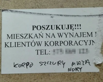 blyskciupagi - (✌ ﾟ ∀ ﾟ)☞ #korposwiat #wroclaw #heheszki #korposzczury