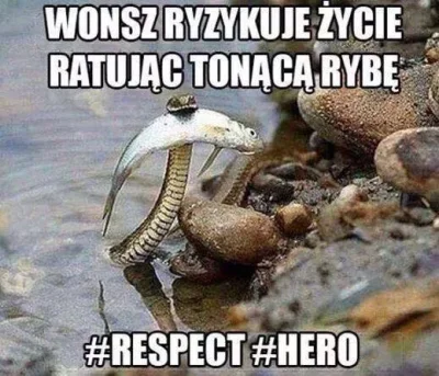 szarszun - #respect #szacunek 

SPOILER