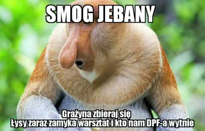 czopersky - #smog #heheszki #polak