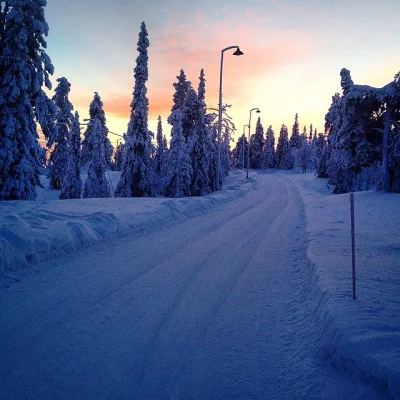 mordzia - Z pracy do domu na biegówkach? Jak najbardziej :).



#zima #finlandia #nar...