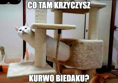 MichaI - @karmaisabitch: gdybyś miał od #!$%@? hajsu to też miałbyś w dupie normy spo...