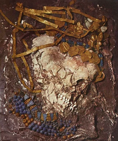 myrmekochoria - Szkielet jednej z 68 kobiet poświęconych podczas królewskiego pogrzeb...