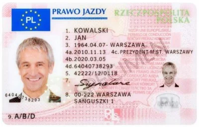 pogop - Po co jest prawo jazdy? Czy w ogóle jest do czegokolwiek potrzebne?



#samoc...