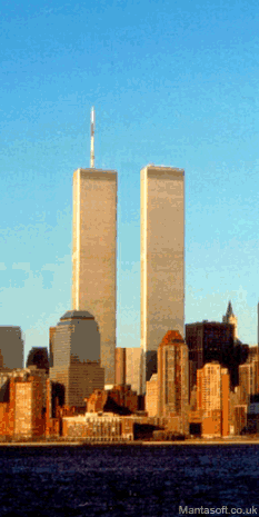 w.....f - #starealedobre #gif #wtc