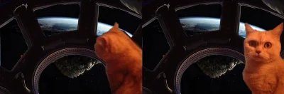 danielator - najnowsze zdjęcie z ISS. Niech każdy sam zobaczy jaka jest prawda. ( ͡° ...
