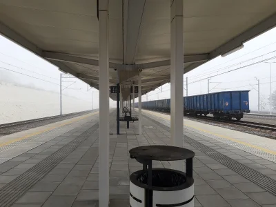 LordVetinari - Mirki z okolicy #krakow #pkp po co taki wielki dworzec/wielka stacja w...