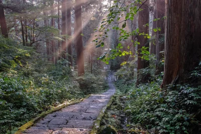 Lookazz - > 朝日の照らす道 / Ancient road in sunlight@Haguro Town, Tsuruoka City, Yamagata P...