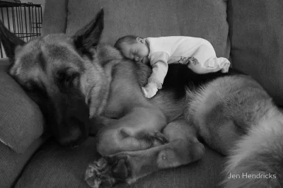 maciekawski - #psy > #koty



http://www.boredpanda.com/big-dogs-little-kids/