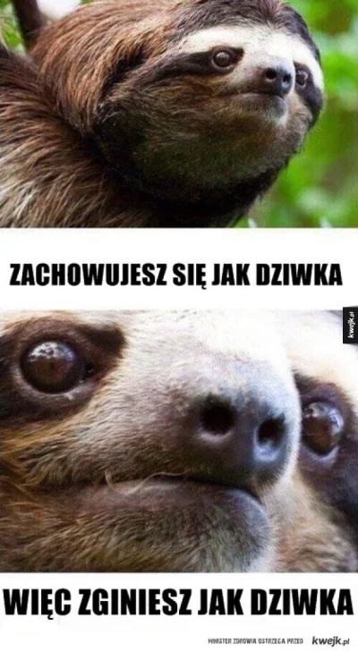 lukaszwasyl - #chybabylo #kwejkaledobre #humorobrazkowy