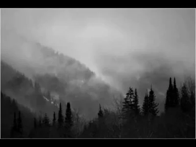 mirkogreg - #muzyka #metal #feels #samotnosc #woodsofypres #aletodobre