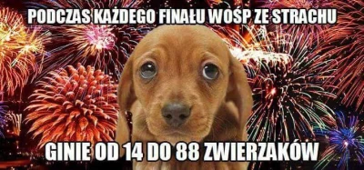 Matioz - #wosp #zwierzaczki #smiesznypiesek #heheszki #humorobrazkowy