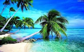 B.....r - Jakie państwo polecacie gdzie będzie taka typowa plaża z palmami i upał? Ch...