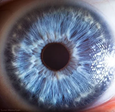 ColdMary6100 - Jeśli masz niebieskie oczy, to znaczy, że posiadasz wspólnego przodka ...